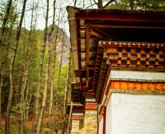 bhutan vacation from Nagpur