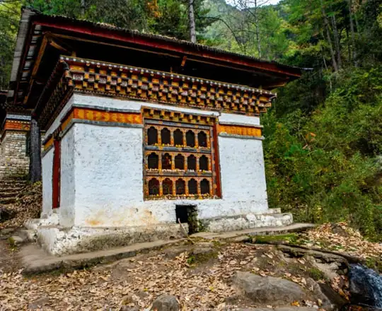 bhutan tours from pune